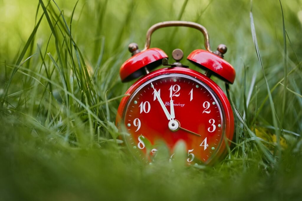 Best Time to Book Flights for Maximum Savings A vibrant red alarm clock rests in lush green grass, symbolizing urgency and nature.
